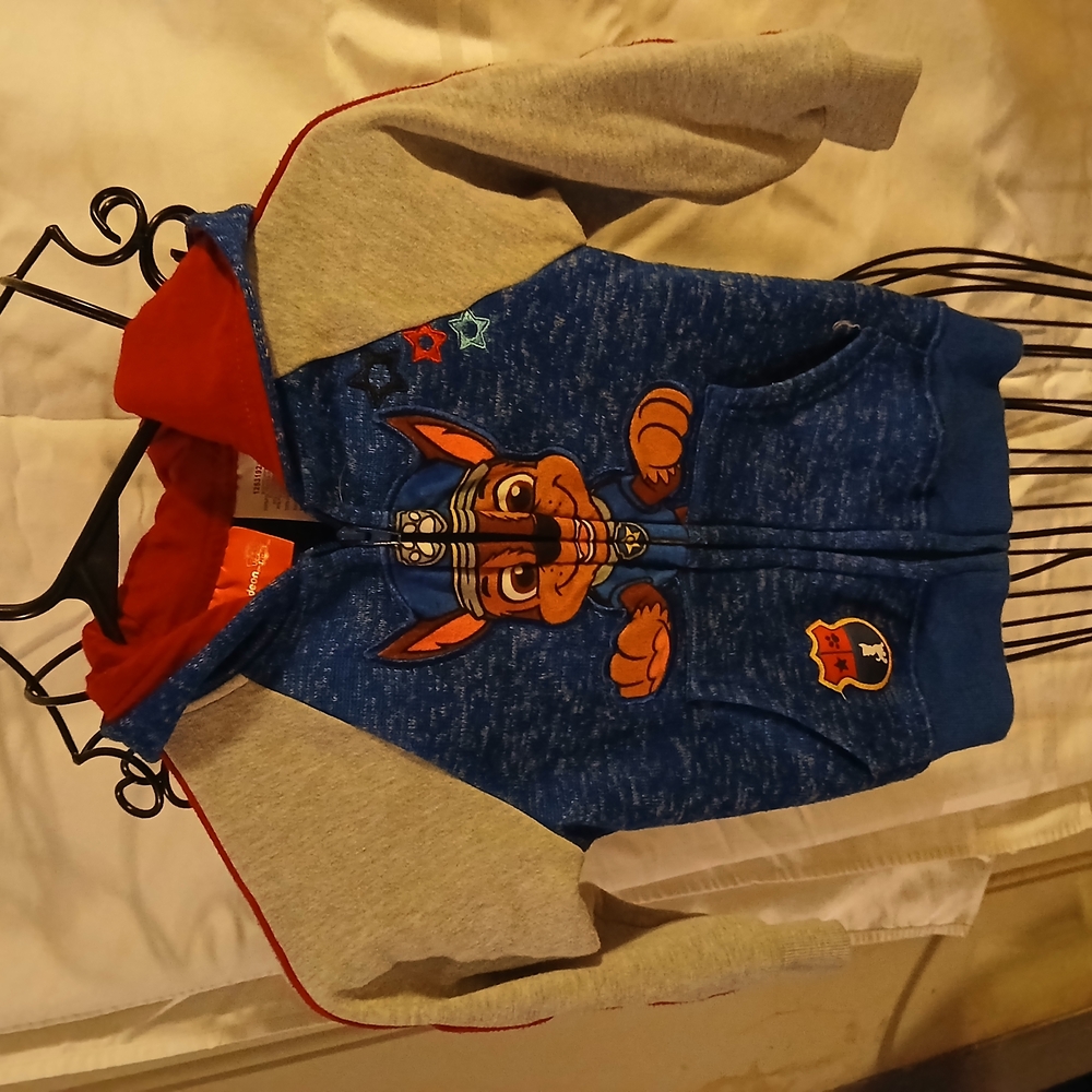 Blue and Gray Kids' Hoodie with Cartoon Character